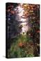 An Autumn Walk-Dorothy Berry-Lound-Stretched Canvas