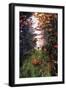 An Autumn Walk-Dorothy Berry-Lound-Framed Giclee Print