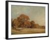 An Autumnal Landscape at East Bergholt, c.1805-08-John Constable-Framed Giclee Print