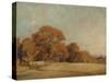 An Autumnal Landscape at East Bergholt, c.1805-08-John Constable-Stretched Canvas