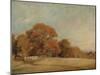 An Autumnal Landscape at East Bergholt, c.1805-08-John Constable-Mounted Giclee Print