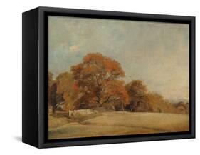 An Autumnal Landscape at East Bergholt, c.1805-08-John Constable-Framed Stretched Canvas