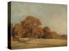 An Autumnal Landscape at East Bergholt, c.1805-08-John Constable-Stretched Canvas
