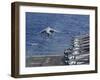 An Av-8B Harrier Takes Off from the Flight Deck of the USS Kearsarge-null-Framed Photographic Print