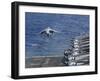 An Av-8B Harrier Takes Off from the Flight Deck of the USS Kearsarge-null-Framed Photographic Print