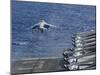 An Av-8B Harrier Takes Off from the Flight Deck of the USS Kearsarge-null-Mounted Photographic Print