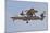 An E-2D Advanced Hawkeye of the U.S. Navy-null-Mounted Photographic Print