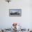 An Ea-6B Prowler Prepares to Launch Off the Flight Deck of USS Nimitz-null-Framed Photographic Print displayed on a wall