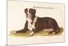 An Early British Mastiff a Breed Which at This Time was Mainly Used as a Guard-null-Mounted Premium Giclee Print