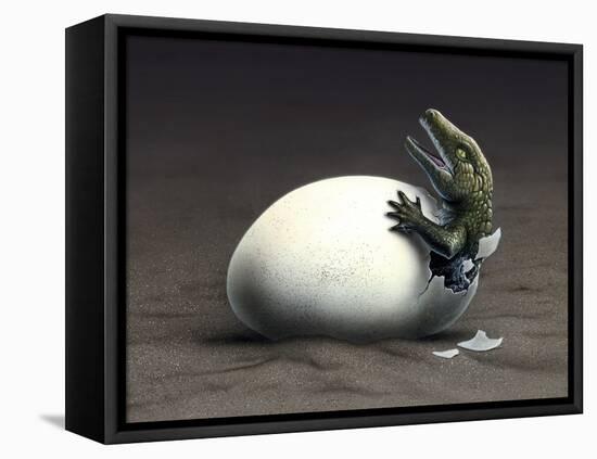 An Early Dinosaur Ancester, Seymouria, Hatches from an Egg-null-Framed Stretched Canvas