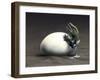 An Early Dinosaur Ancester, Seymouria, Hatches from an Egg-null-Framed Art Print