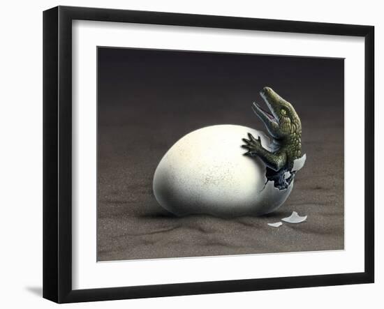 An Early Dinosaur Ancester, Seymouria, Hatches from an Egg-null-Framed Art Print