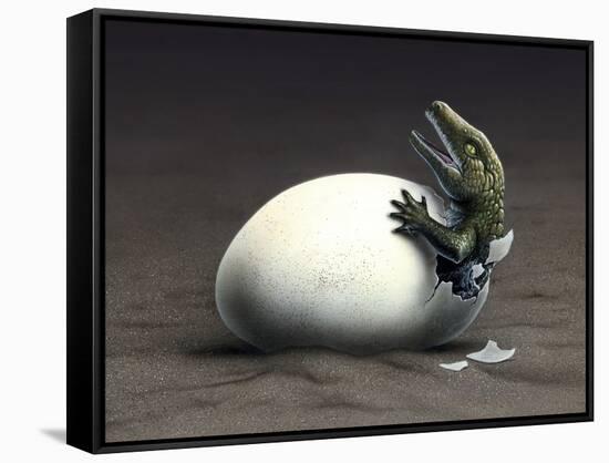 An Early Dinosaur Ancester, Seymouria, Hatches from an Egg-null-Framed Stretched Canvas