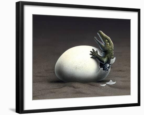 An Early Dinosaur Ancester, Seymouria, Hatches from an Egg-null-Framed Art Print