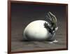 An Early Dinosaur Ancester, Seymouria, Hatches from an Egg-null-Framed Art Print