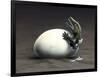 An Early Dinosaur Ancester, Seymouria, Hatches from an Egg-null-Framed Art Print