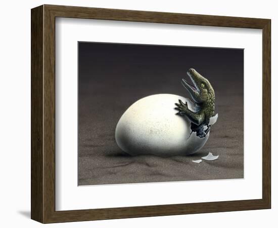 An Early Dinosaur Ancester, Seymouria, Hatches from an Egg-null-Framed Art Print