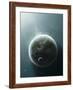 An Earth-Like Planet Illuminated by a Nearby White Dwarf-Stocktrek Images-Framed Photographic Print