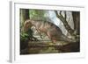An Edmarka Rex Finds Out That His Nest Has Died Due to Flooding of the Forest-null-Framed Premium Giclee Print