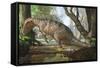 An Edmarka Rex Finds Out That His Nest Has Died Due to Flooding of the Forest-null-Framed Stretched Canvas