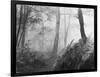 An Eerie Misty Wood with Ferns Near Esher Common Surrey England-null-Framed Premium Photographic Print