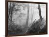 An Eerie Misty Wood with Ferns Near Esher Common Surrey England-null-Framed Photographic Print