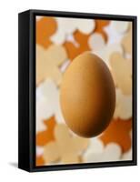 An Egg-Luzia Ellert-Framed Stretched Canvas