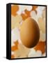 An Egg-Luzia Ellert-Framed Stretched Canvas