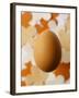 An Egg-Luzia Ellert-Framed Photographic Print