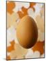 An Egg-Luzia Ellert-Mounted Photographic Print