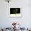 An Egyptian Boy Shows off His Ball Skill as He Plays Soccer with a Friend on the Steets of Cairo-null-Framed Photographic Print displayed on a wall