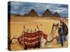 An Egyptian Man Rests His Camel Waiting for Locals and Tourists to Rent It-null-Stretched Canvas