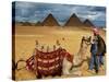 An Egyptian Man Rests His Camel Waiting for Locals and Tourists to Rent It-null-Stretched Canvas
