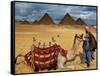 An Egyptian Man Rests His Camel Waiting for Locals and Tourists to Rent It-null-Framed Stretched Canvas