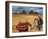 An Egyptian Man Rests His Camel Waiting for Locals and Tourists to Rent It-null-Framed Premium Photographic Print