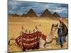 An Egyptian Man Rests His Camel Waiting for Locals and Tourists to Rent It-null-Mounted Premium Photographic Print