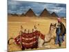 An Egyptian Man Rests His Camel Waiting for Locals and Tourists to Rent It-null-Mounted Photographic Print