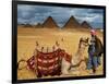 An Egyptian Man Rests His Camel Waiting for Locals and Tourists to Rent It-null-Framed Photographic Print