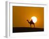 An Egyptian Policeman Looks at the Setting Sun-null-Framed Photographic Print