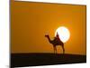 An Egyptian Policeman Looks at the Setting Sun-null-Mounted Photographic Print