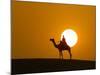 An Egyptian Policeman Looks at the Setting Sun-null-Mounted Photographic Print