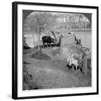 An Egyptian Sakieh, or Ox-Driven Bucket Pump, Egypt, 1905-Underwood & Underwood-Framed Photographic Print