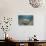 An Electric Ray on the Seafloor of Turneffe Atoll Off the Coast of Belize-Stocktrek Images-Photographic Print displayed on a wall