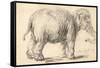 An Elephant, 1637-Rembrandt Harmensz. van Rijn-Framed Stretched Canvas