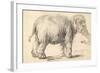 An Elephant, 1637-Rembrandt Harmensz. van Rijn-Framed Giclee Print