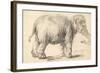 An Elephant, 1637-Rembrandt Harmensz. van Rijn-Framed Giclee Print