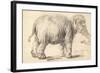 An Elephant, 1637-Rembrandt Harmensz. van Rijn-Framed Giclee Print