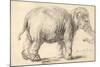 An Elephant, 1637-Rembrandt Harmensz. van Rijn-Mounted Giclee Print