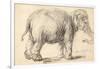 An Elephant, 1637-Rembrandt Harmensz. van Rijn-Framed Giclee Print