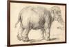 An Elephant, 1637-Rembrandt Harmensz. van Rijn-Framed Giclee Print